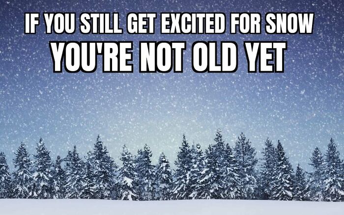 Wait, These Alaska Memes Nail Life Up North!