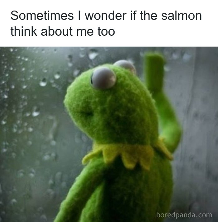 Wait, These Alaska Memes Nail Life Up North!
