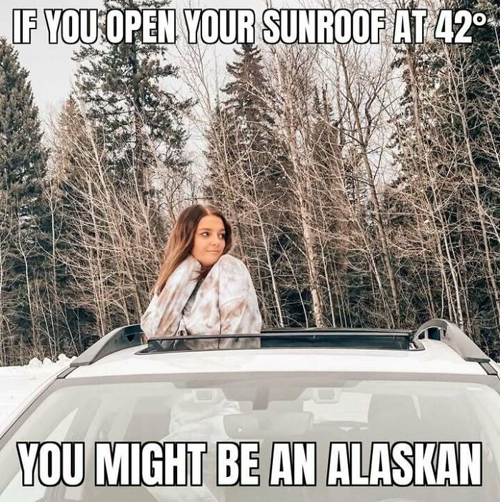 Wait, These Alaska Memes Nail Life Up North!