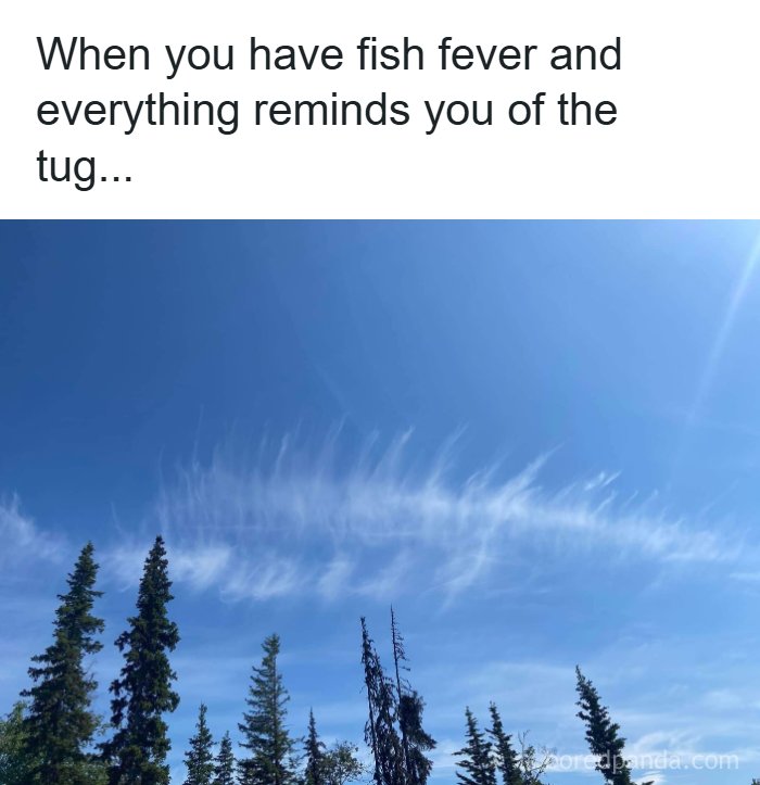 Wait, These Alaska Memes Nail Life Up North!