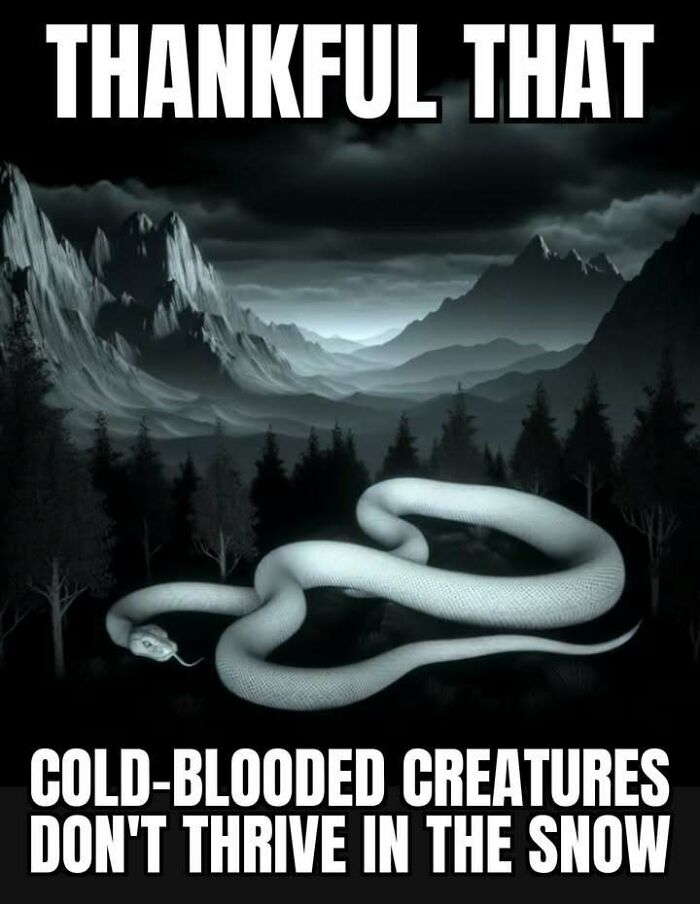 Wait, These Alaska Memes Nail Life Up North!