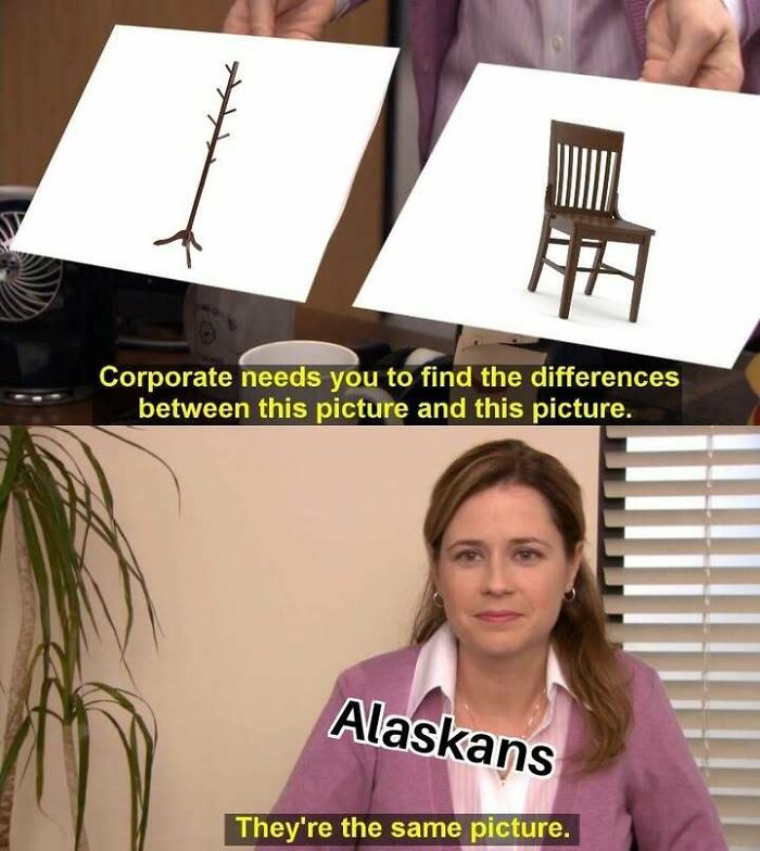 Wait, These Alaska Memes Nail Life Up North!