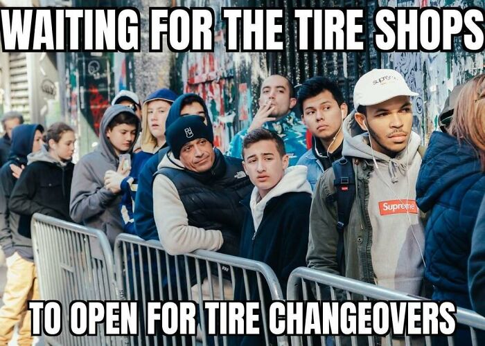 Wait, These Alaska Memes Nail Life Up North!
