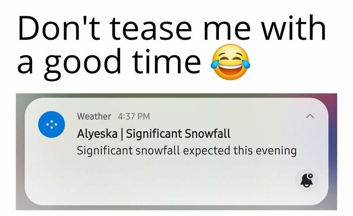 Wait, These Alaska Memes Nail Life Up North!