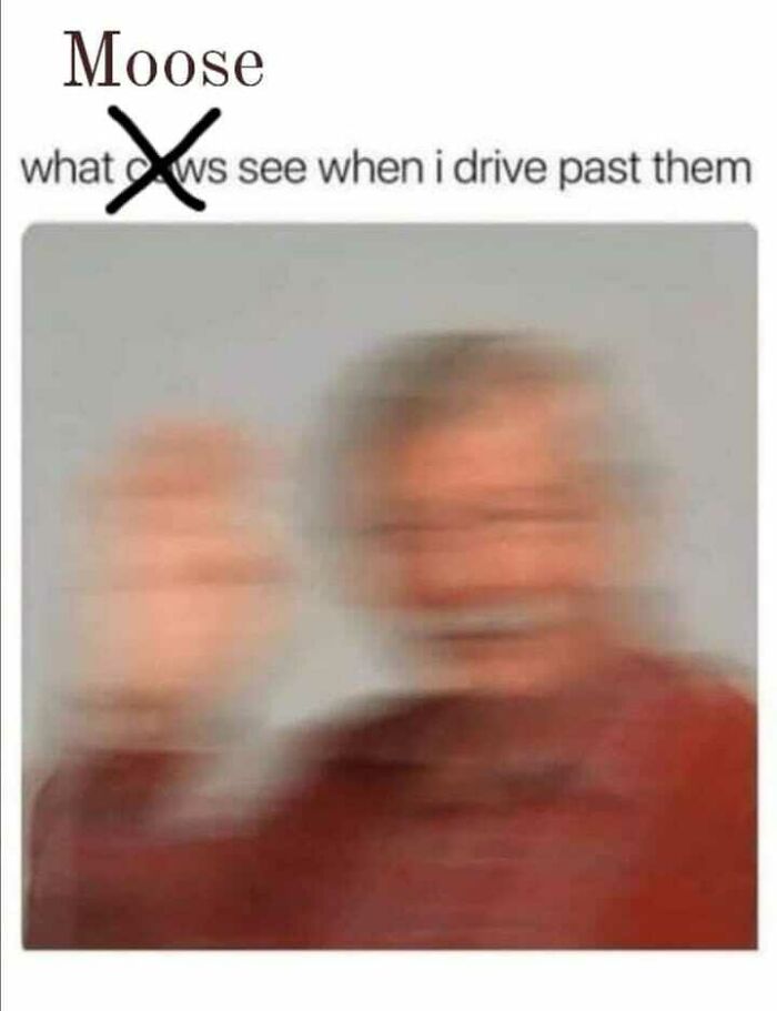 Wait, These Alaska Memes Nail Life Up North!
