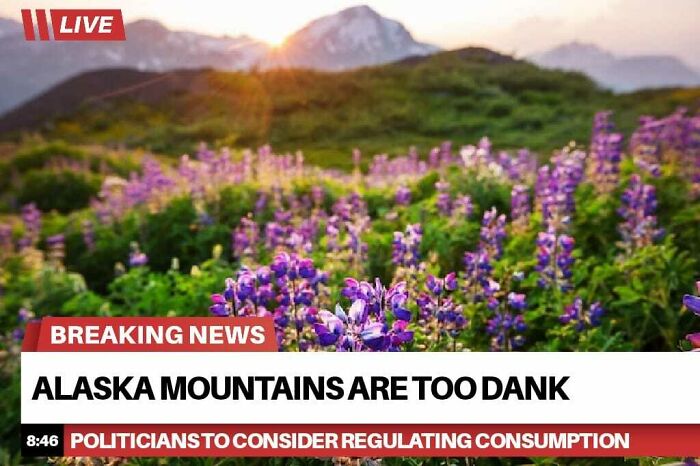 Wait, These Alaska Memes Nail Life Up North!