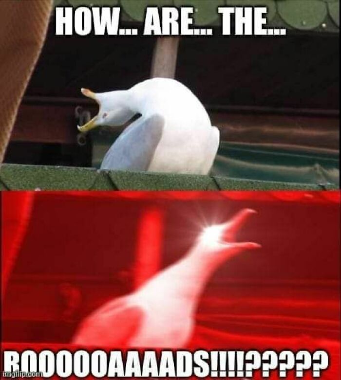 Wait, These Alaska Memes Nail Life Up North!