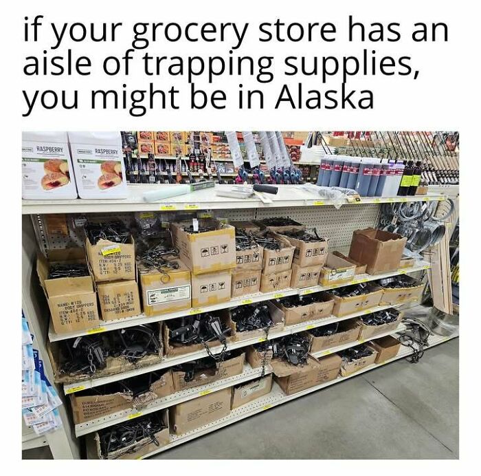 Wait, These Alaska Memes Nail Life Up North!