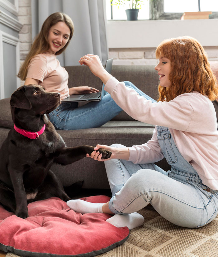 Pet Sitter Shows Up to Babysit a Dog…and Finds a Forgotten Kid Instead!