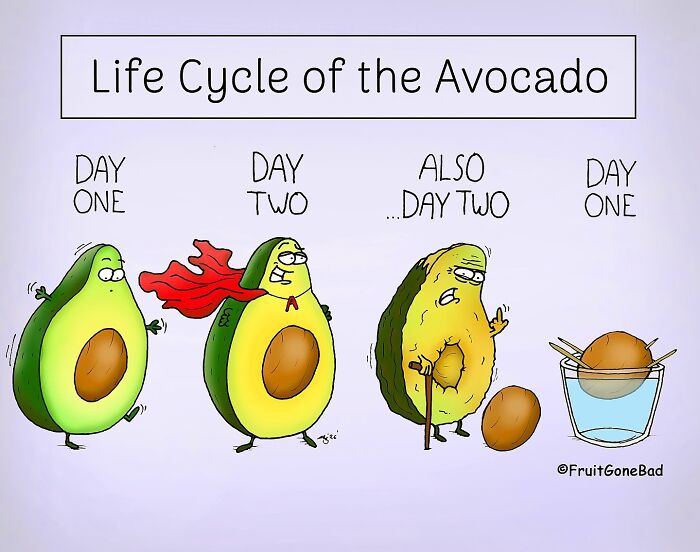 These Fruits Are Having Way Too Much Fun And It’s Hilarious