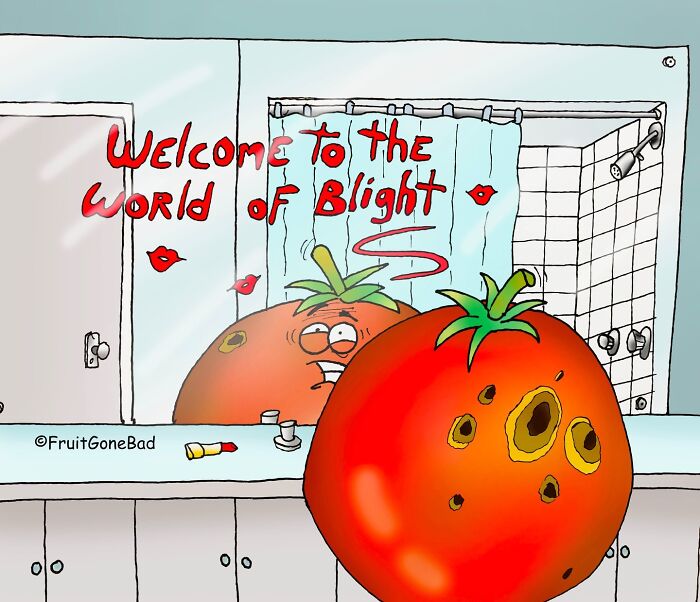These Fruits Are Having Way Too Much Fun And It’s Hilarious