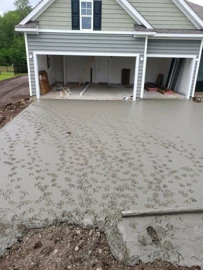 They Poured Concrete Next to a Duck Pond, Took Lunch, And Came Back to THIS