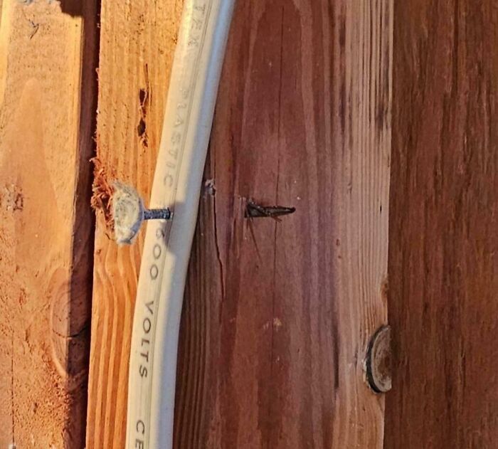 Opened the Walls and Guess What We Found? Yeah... Not Good