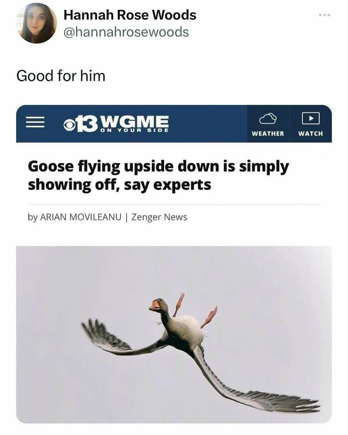 The Funniest Bird Memes That’ll Totally Make Your Day
