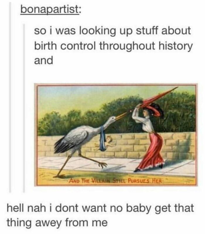 The Funniest Bird Memes That’ll Totally Make Your Day