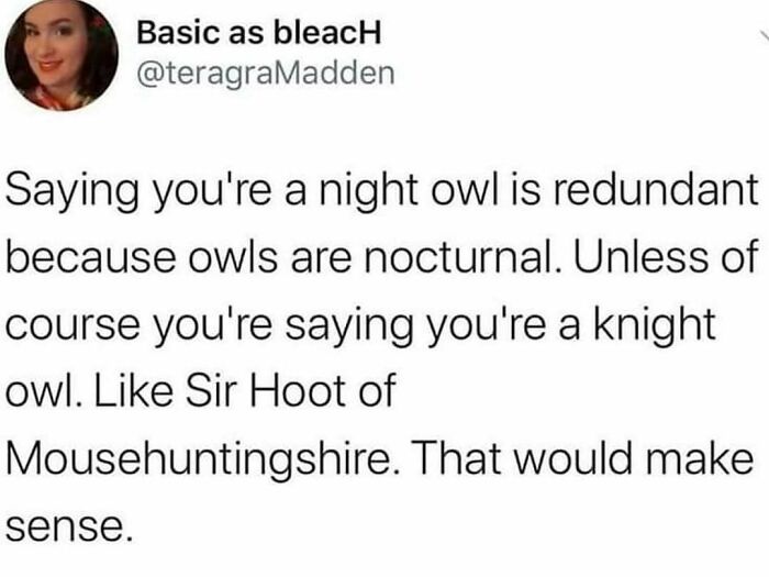 The Funniest Bird Memes That’ll Totally Make Your Day
