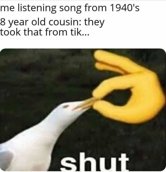The Funniest Bird Memes That’ll Totally Make Your Day