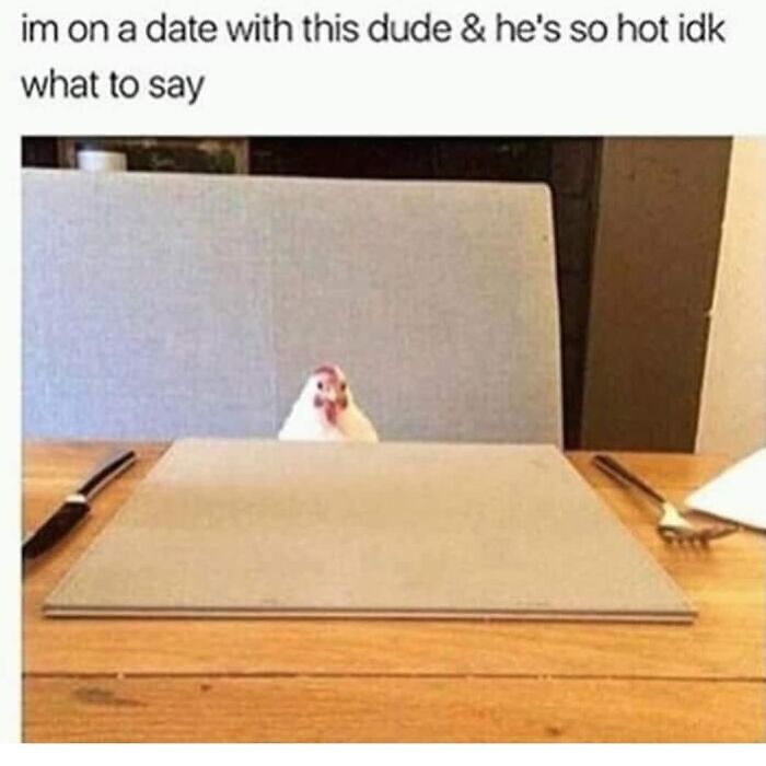 The Funniest Bird Memes That’ll Totally Make Your Day