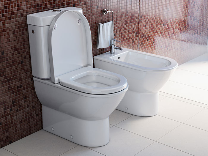 Why Do I Have to Use A Bidet Every Time? And Who’s Counting Toilet Paper?