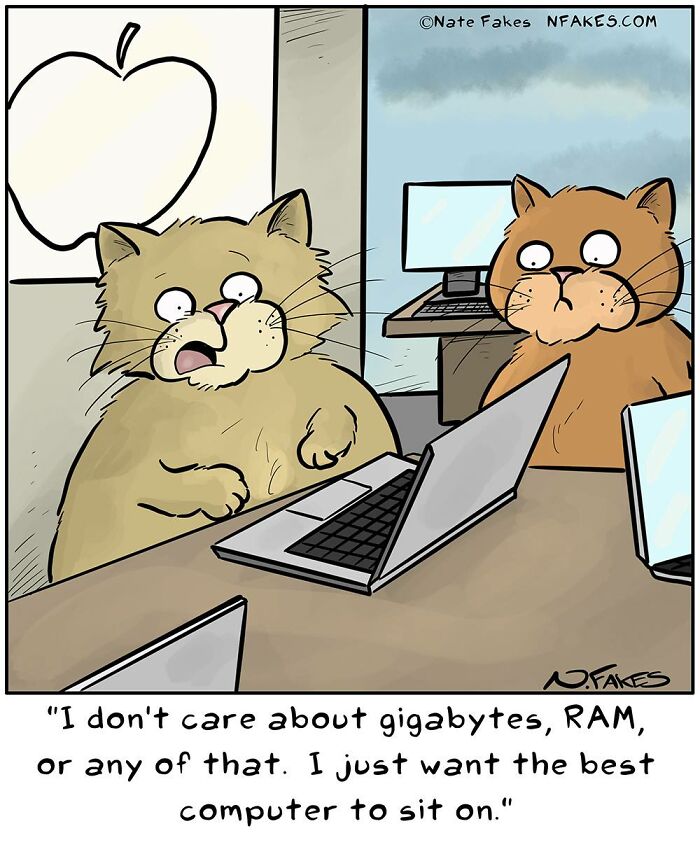 31 Hilarious Cat Comics That Show Our Furry Friends Are Total Weirdos