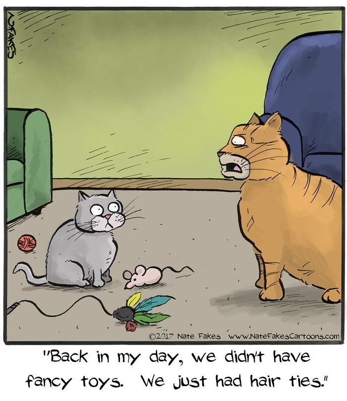 31 Hilarious Cat Comics That Show Our Furry Friends Are Total Weirdos