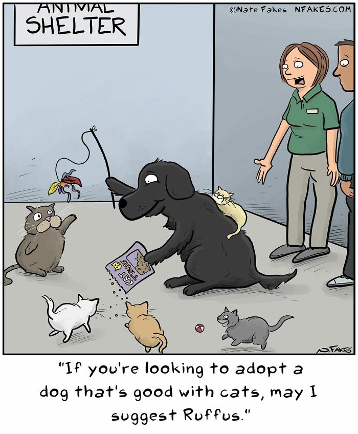 31 Hilarious Cat Comics That Show Our Furry Friends Are Total Weirdos