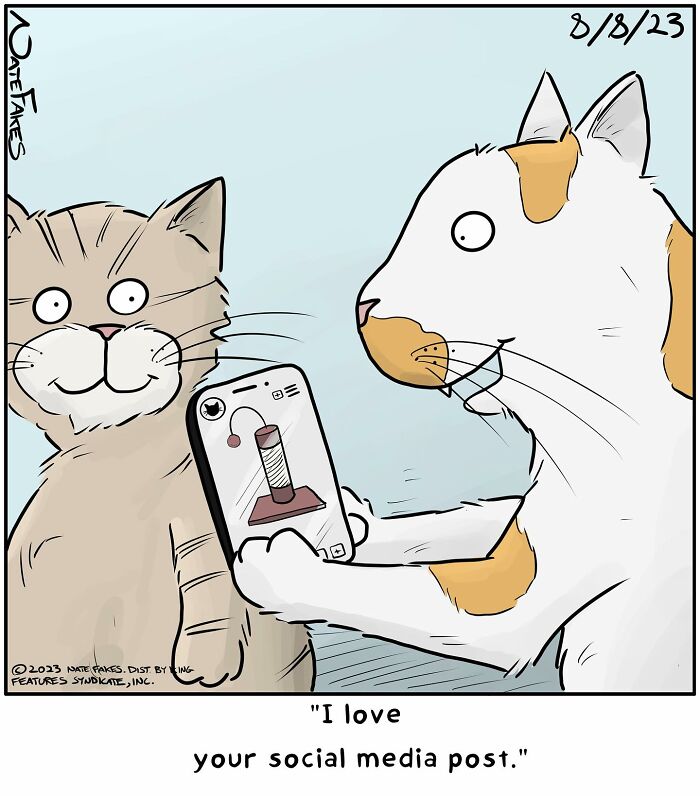 31 Hilarious Cat Comics That Show Our Furry Friends Are Total Weirdos
