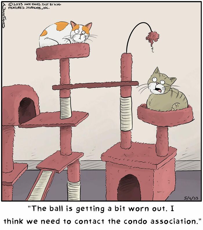31 Hilarious Cat Comics That Show Our Furry Friends Are Total Weirdos