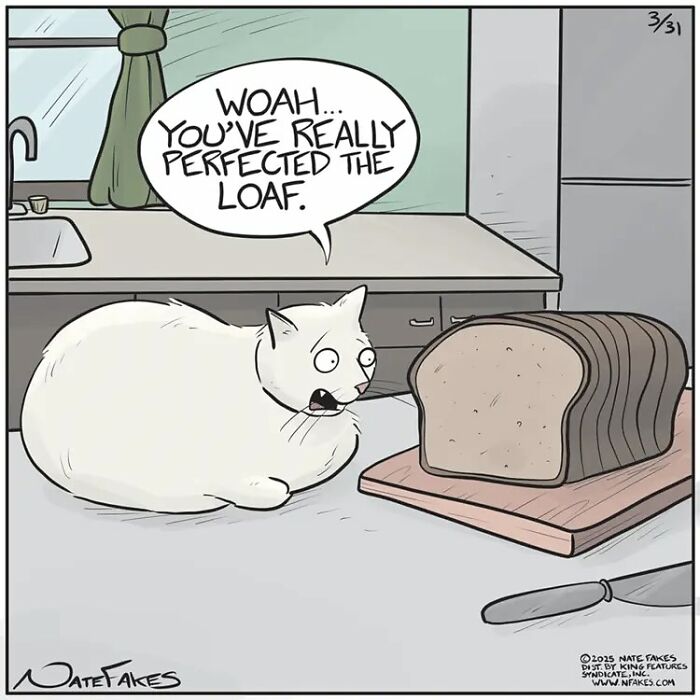31 Hilarious Cat Comics That Show Our Furry Friends Are Total Weirdos