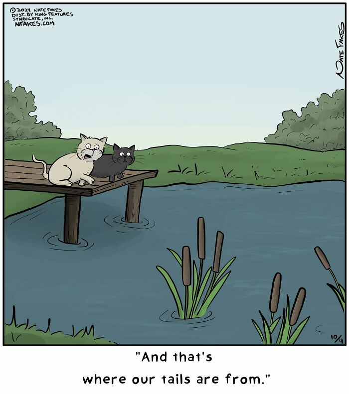 31 Hilarious Cat Comics That Show Our Furry Friends Are Total Weirdos