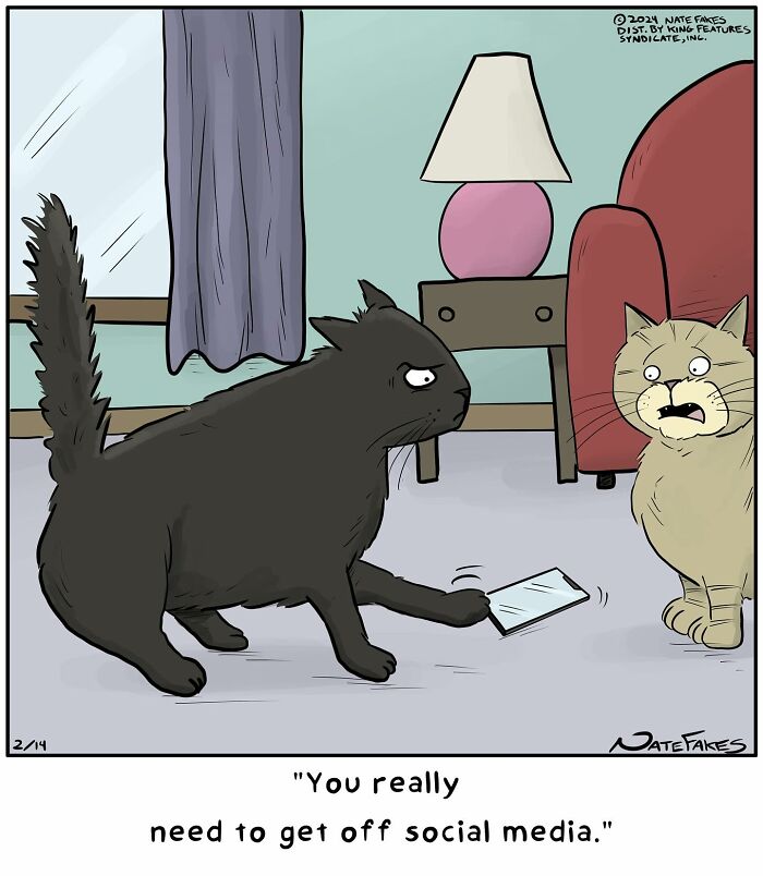 31 Hilarious Cat Comics That Show Our Furry Friends Are Total Weirdos