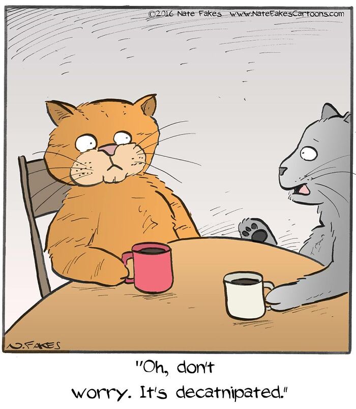 31 Hilarious Cat Comics That Show Our Furry Friends Are Total Weirdos