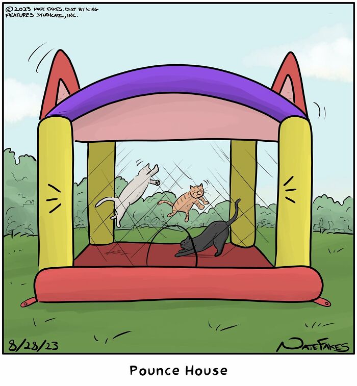 31 Hilarious Cat Comics That Show Our Furry Friends Are Total Weirdos