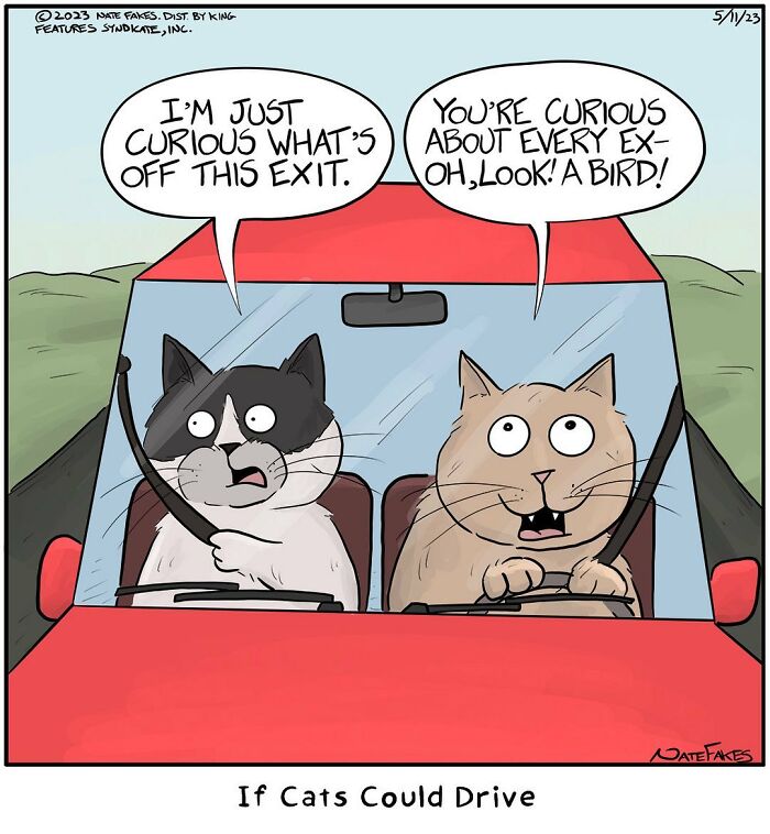 31 Hilarious Cat Comics That Show Our Furry Friends Are Total Weirdos