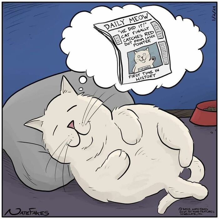 31 Hilarious Cat Comics That Show Our Furry Friends Are Total Weirdos