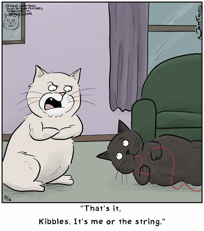 31 Hilarious Cat Comics That Show Our Furry Friends Are Total Weirdos