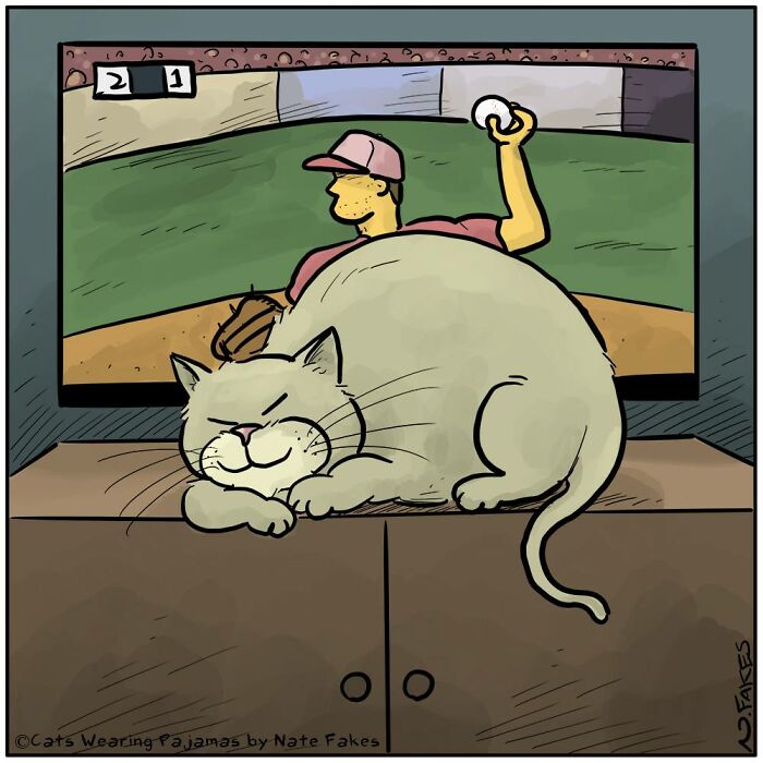31 Hilarious Cat Comics That Show Our Furry Friends Are Total Weirdos