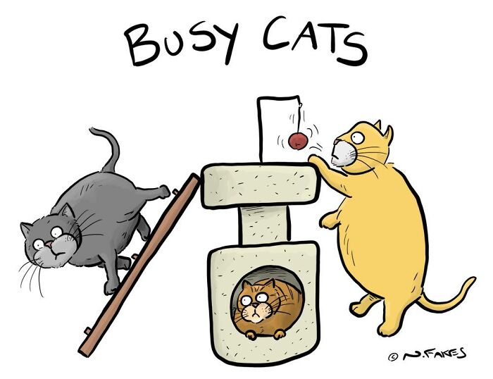 31 Hilarious Cat Comics That Show Our Furry Friends Are Total Weirdos