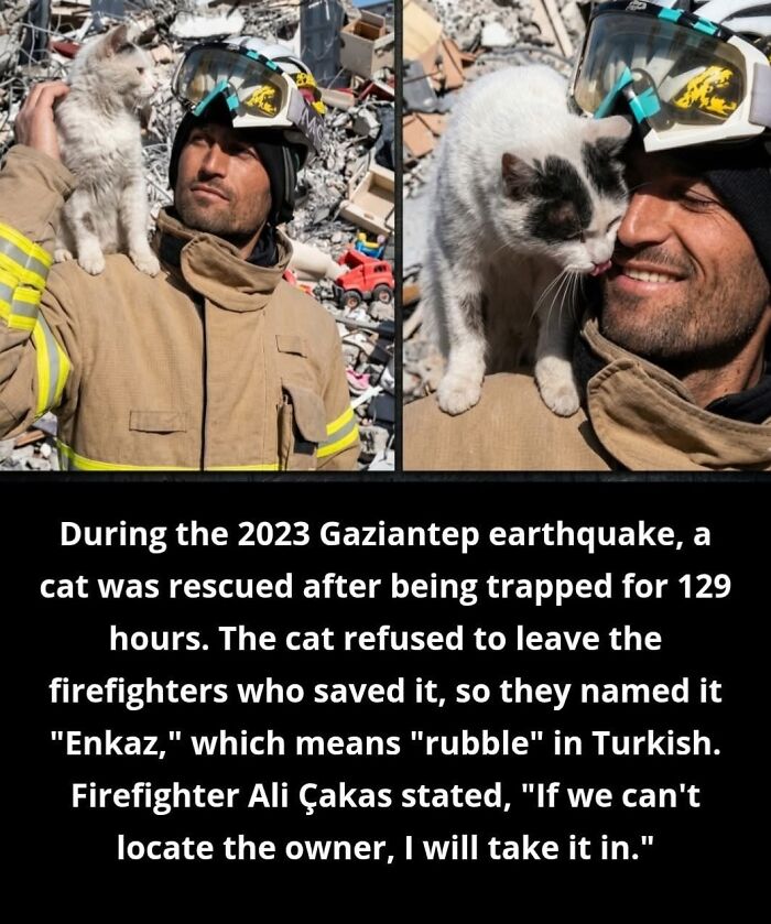 25 Animal Stories That Will Totally Melt Your Heart
