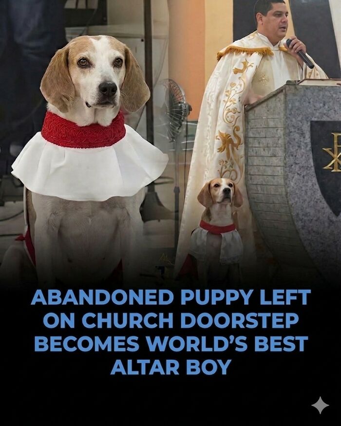 25 Animal Stories That Will Totally Melt Your Heart