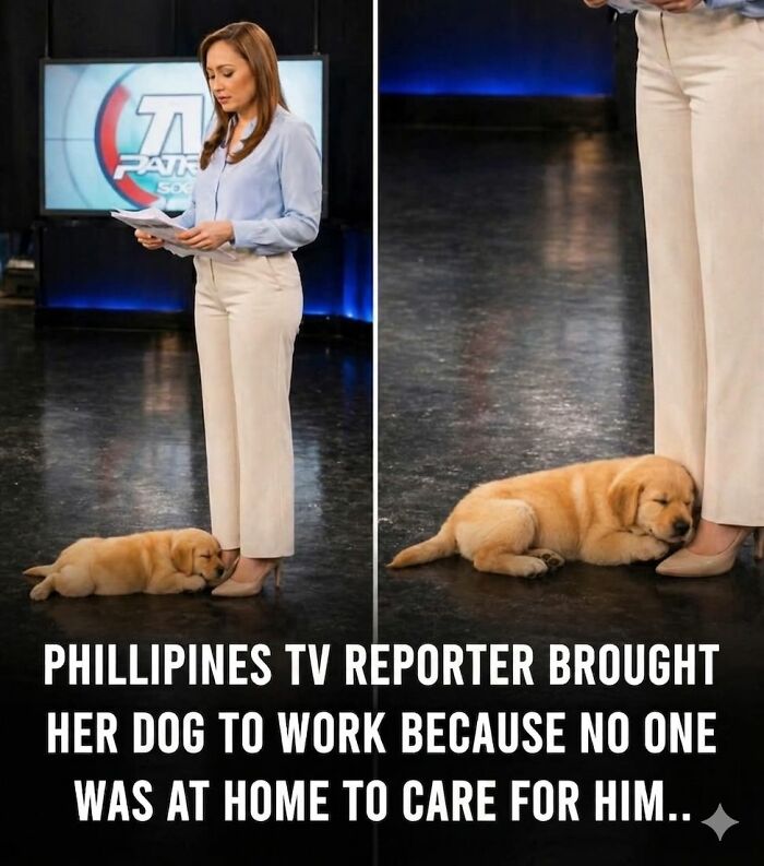 25 Animal Stories That Will Totally Melt Your Heart