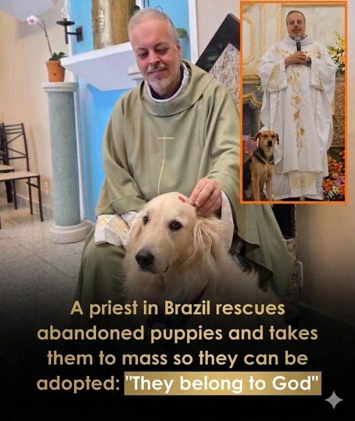 25 Animal Stories That Will Totally Melt Your Heart