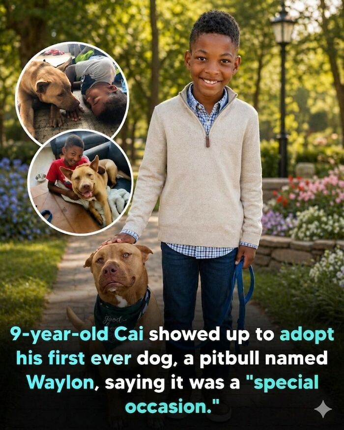 25 Animal Stories That Will Totally Melt Your Heart