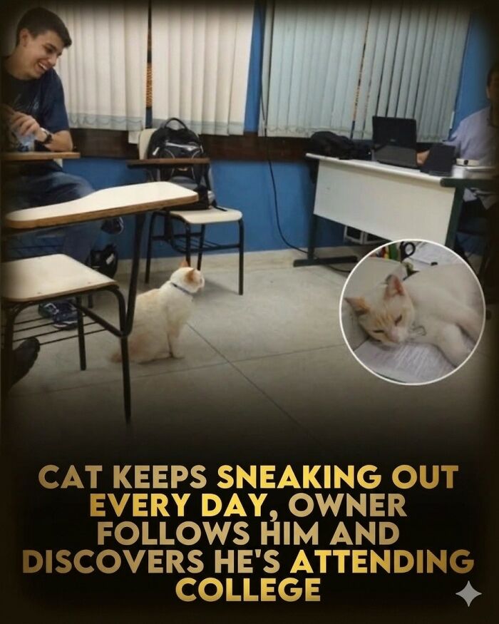 25 Animal Stories That Will Totally Melt Your Heart