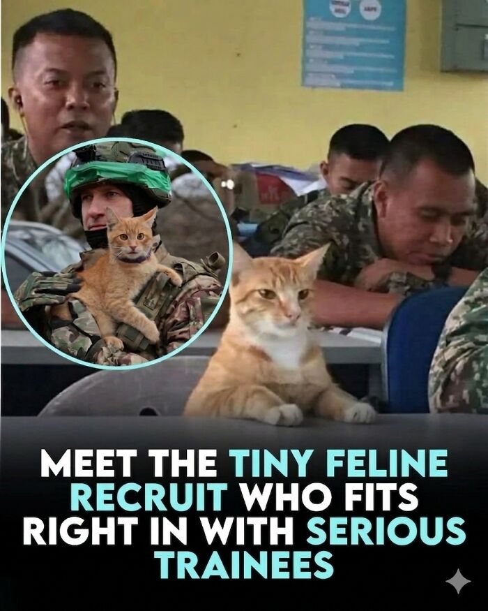 25 Animal Stories That Will Totally Melt Your Heart