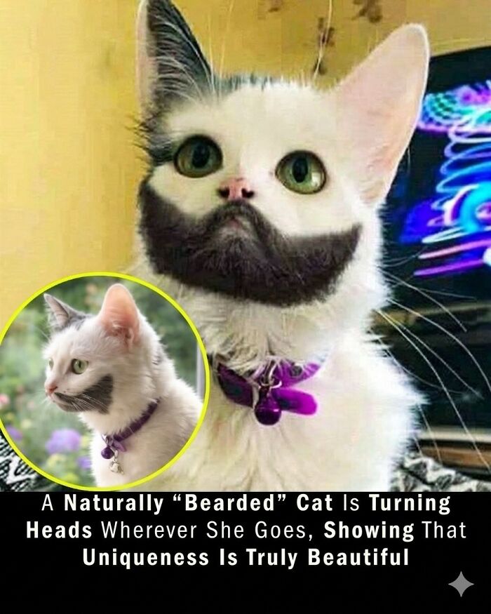 25 Animal Stories That Will Totally Melt Your Heart