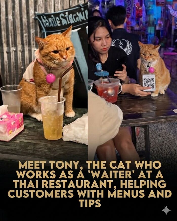 25 Animal Stories That Will Totally Melt Your Heart