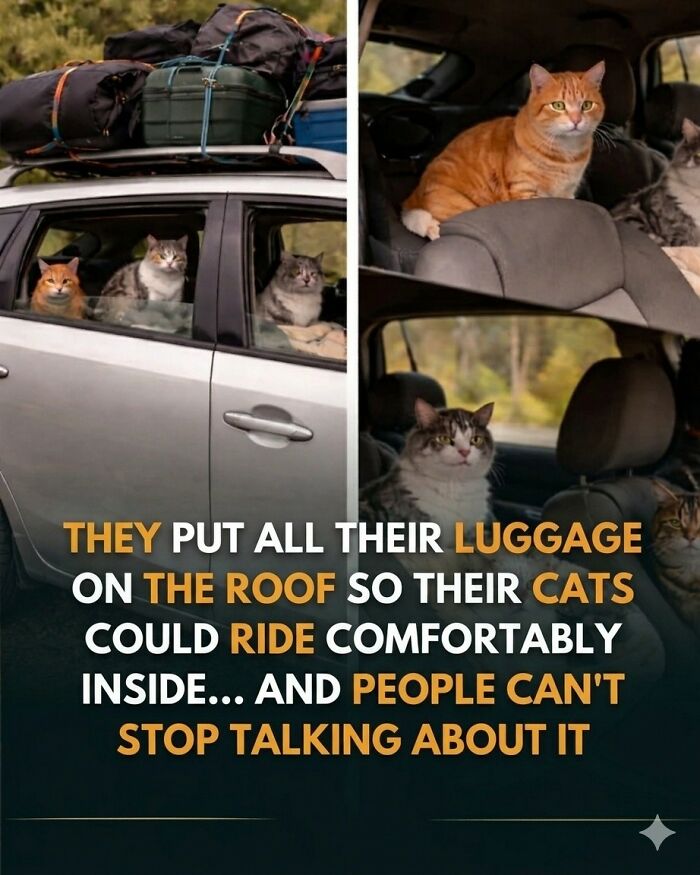 25 Animal Stories That Will Totally Melt Your Heart
