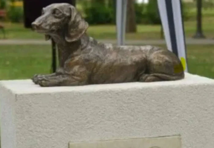 Serbia’s Hero Dog Leo