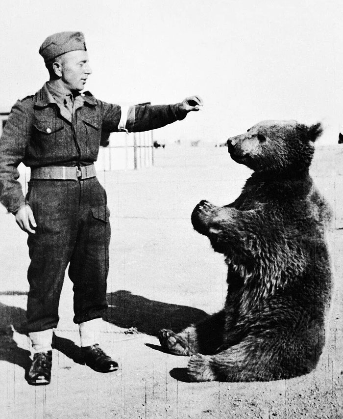 Poland’s Soldier Bear Wojtek